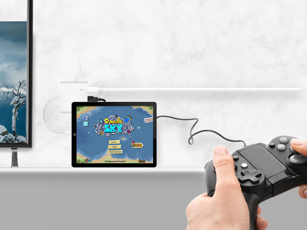 Lightning to USB Adapter