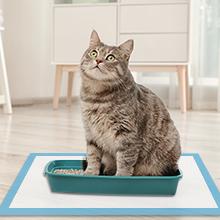 Pet Pads for Cats