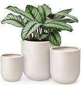 homenote Flower Pots 13/11.5/10 Inch,Large Plant Pots Indoor with Drainage,Plastic Pots for Plant...