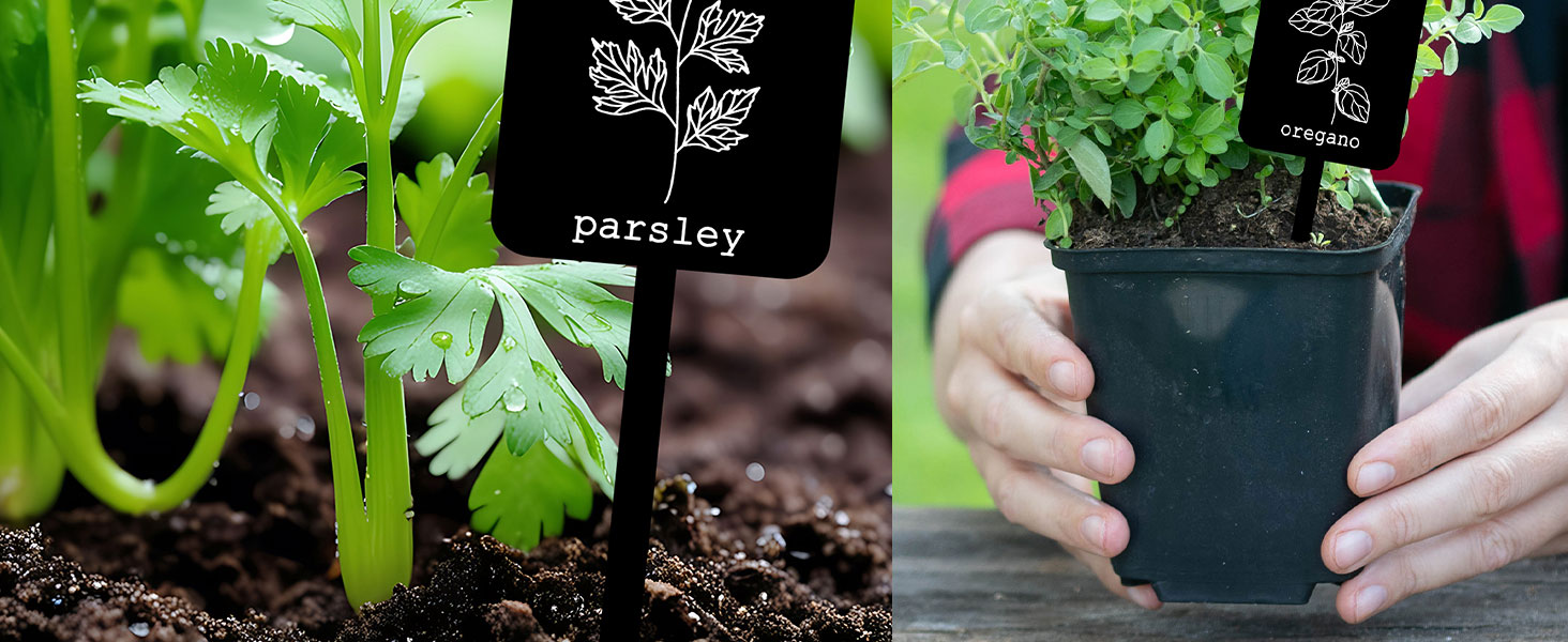 Acrylic Plant Label Signs