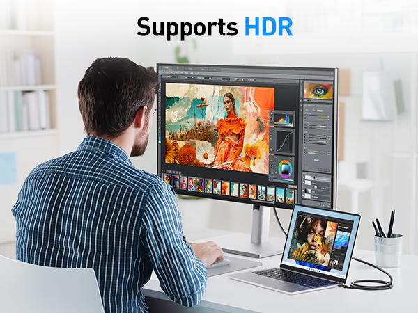 USB C to DisplayPort 1.4 Cable