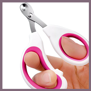 cat nail clippers