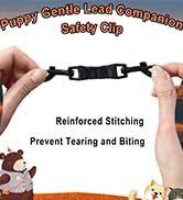 small dog clips