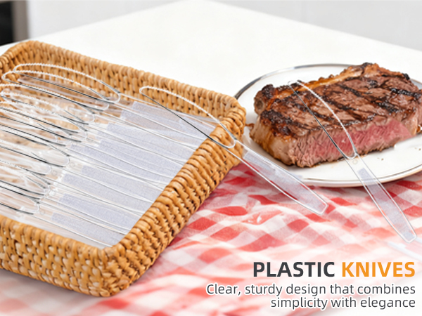 Disposable knife