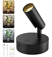 GOODEA Spotlights Indoor with Remote, 3000mAh Rechargeable Battery Plant Spotlight Indoor, Wirele...
