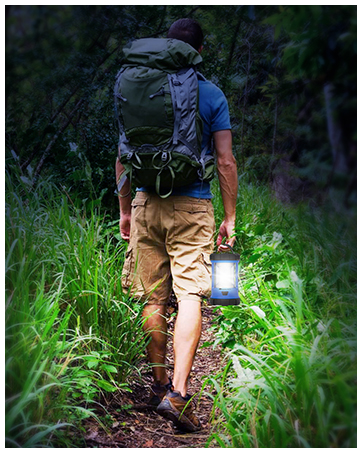 lantern light