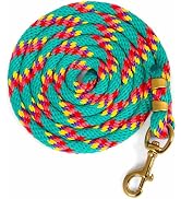 Jeffers Equine Nylon Horse Lead Rope, 5/8" x 8', Turquoise - Heavy Duty, Durable Nylon Rope with ...