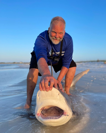 shark, braid, fishing, reaction tackle