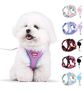 Coppthinktu Dog Harness with Leash Set for Small Sized Dogs Cats, No Pull Dog Harness Soft Mesh C...