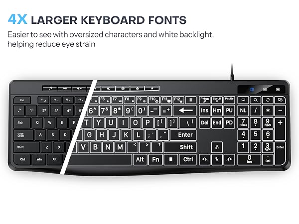 LARGER KEYBOARD FONTS