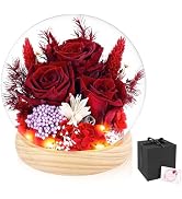Preserved Rose Flowers Gifts for Women, Eternal Rose in Glass Dome Forever Preserved Glitter Rose...