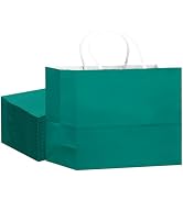 qiqee 24PCS Large Gift Bag with Handles Bulk 13
