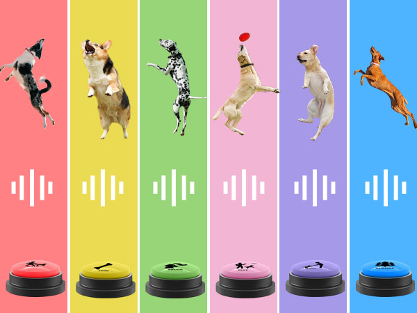 Dog talk button set