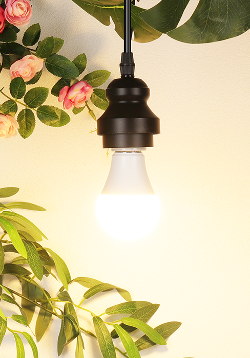 A19 LED Light Bulbs