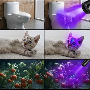 Wide Range of Uses