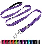 PenSeepet Dog Leash 6 FT Padded Handle Nylon Reflective Dogs Leashes for Medium Dogs Purple