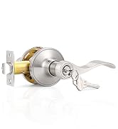 nickel entry door lever
