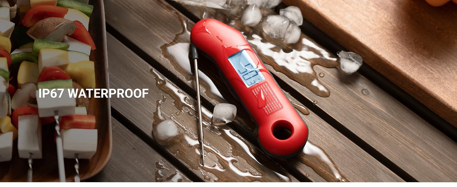 meat thermometer digital