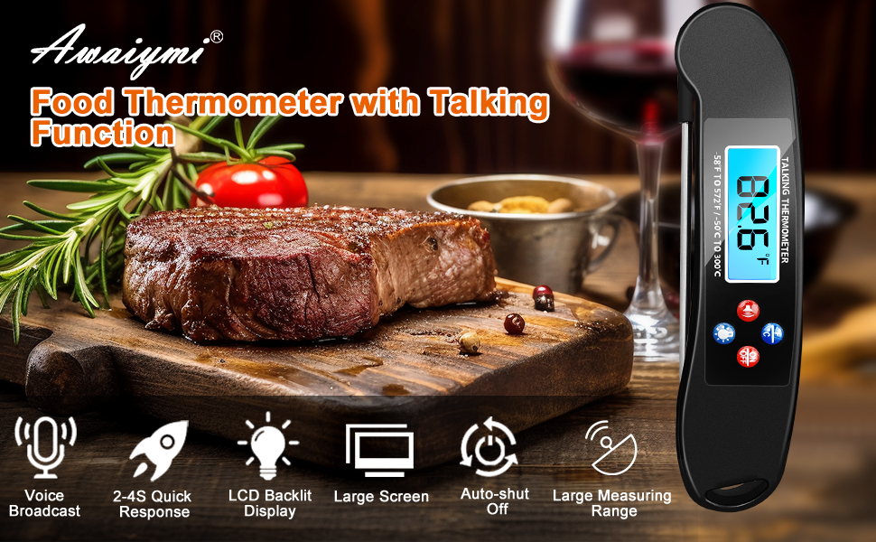 Digital Talking Thermometer