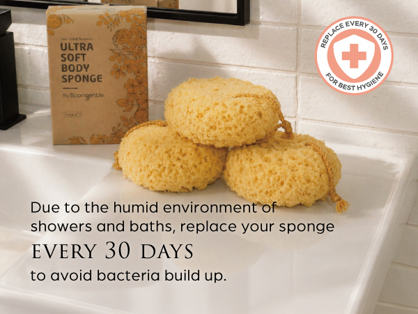 Body Scrubber