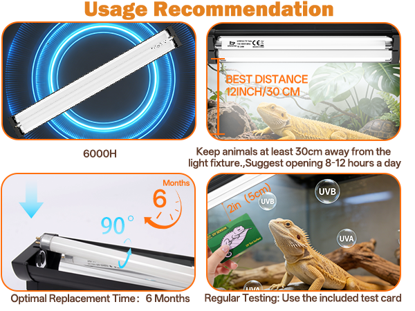 UVB Intensity 10.0,Wattage 24W Length 22in;UV Test Card for Desert UVB Lighting and Reptile Care.