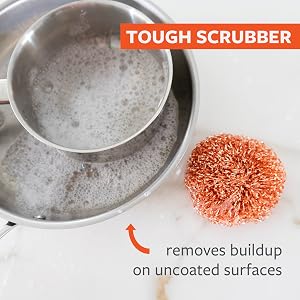 dish scubbers