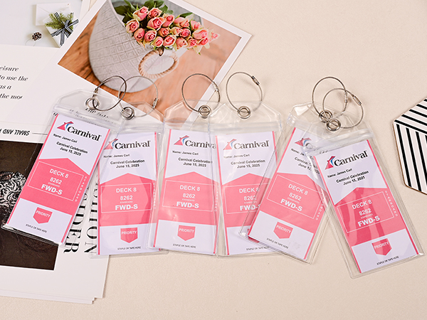 clean luggage tags for princess
