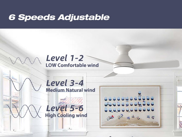 6 Speeds Adjustable