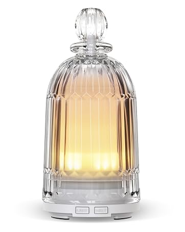 small essential oil diffuser