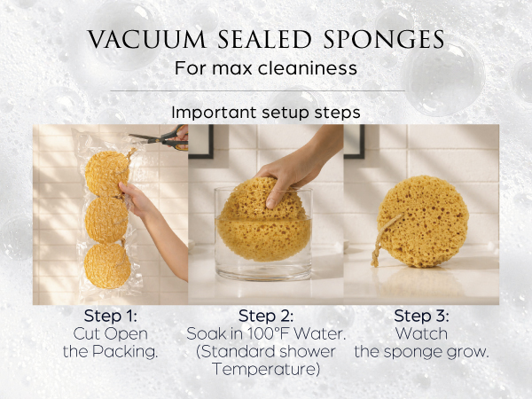 Exfoliatiing sponge