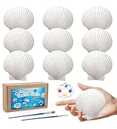 MORFEN 10 PCS Scallop Shells, Seashells for Crafts, 4''-5'' White Sea Shells for Crafting Decorat...