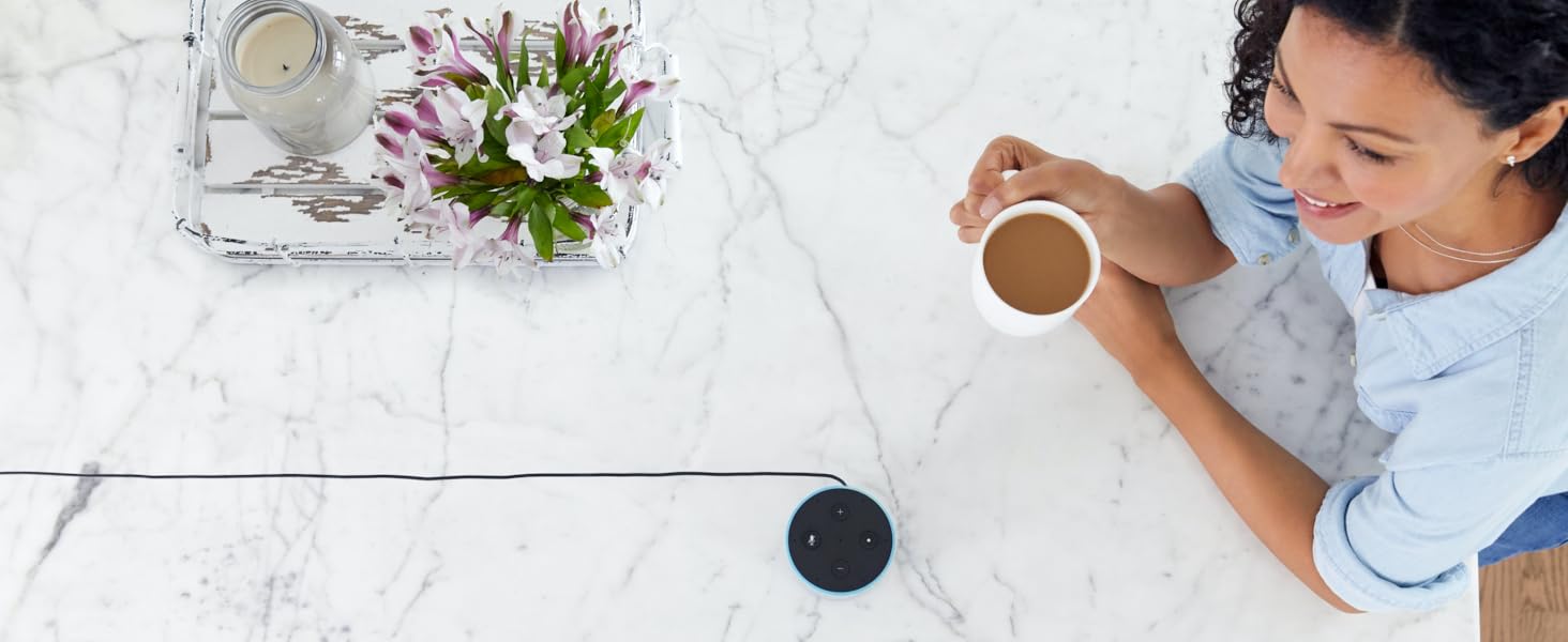 Voice assistant and smart home control of the Wi-Fi 7-Day Programmable Thermostat