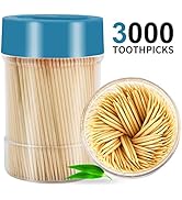 TRTRin [3000 Count 100% Natural Bamboo Toothpicks - With 1 Piece Reusable Toothpick Holder, Sturd...