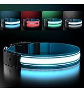 LED Dog Collar Rechargeable- Brightest Light Up Dog Collars - 1,600 Feet of High Visibility - Mag...
