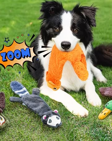 stuffless squeaky toy