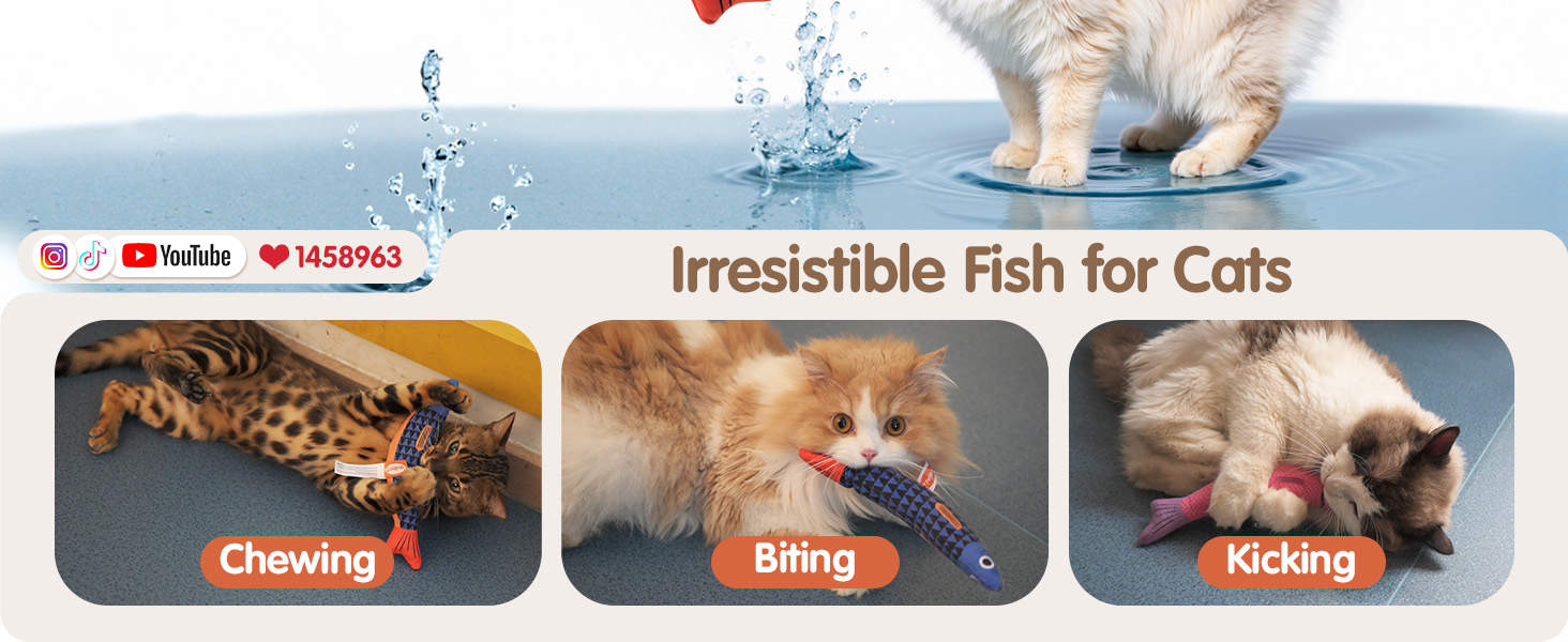 cat toys for indoor cats