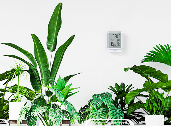 Greenhouse