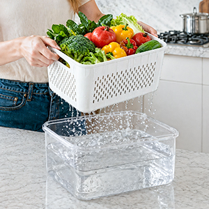 fruit container