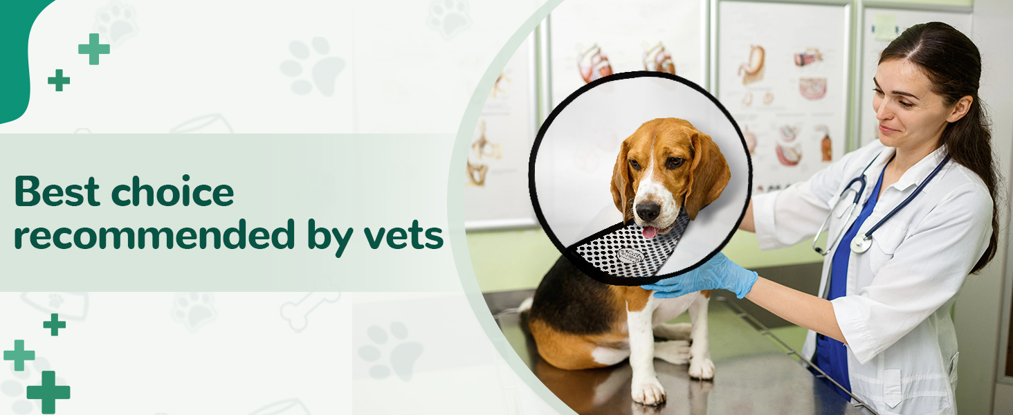 dog cone