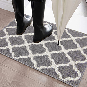 front door mat absorbent mud Dirt Trapper mat