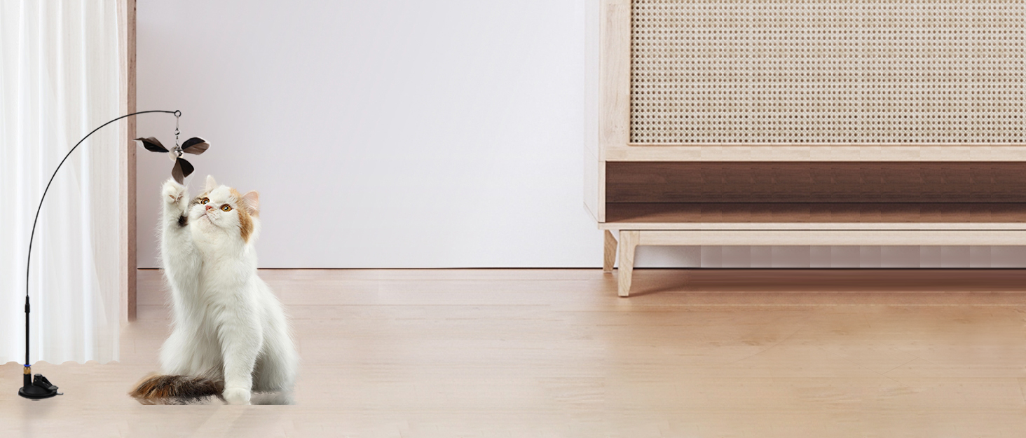 Cat Toy Set