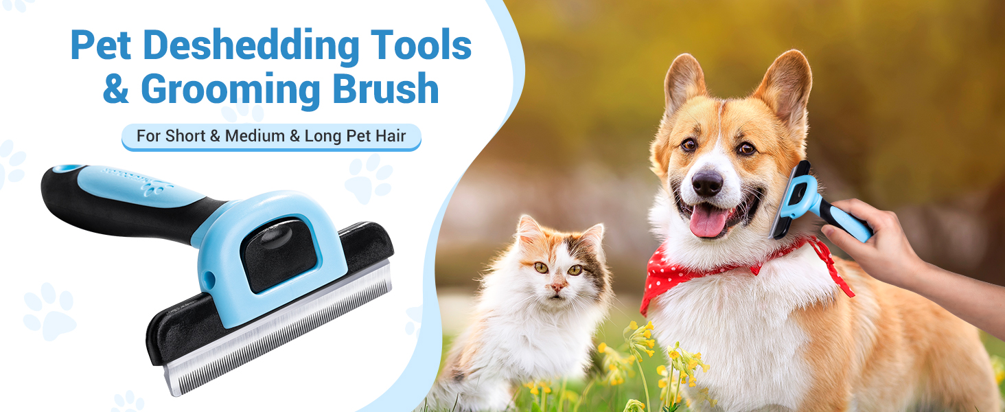 pet brush blue 1