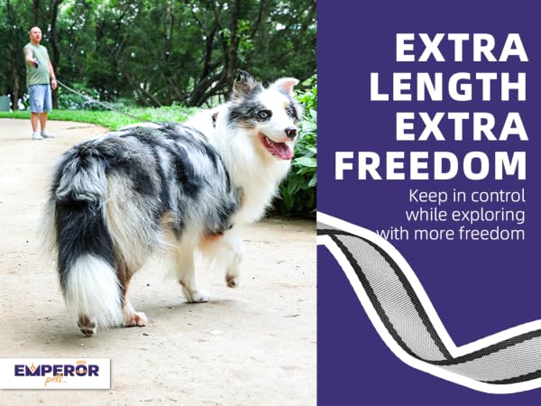 Emperor Pets | 26ft Heavy Duty Retractable Dog Leash - For Pets Up to 110lbs - Classic Series -Blue