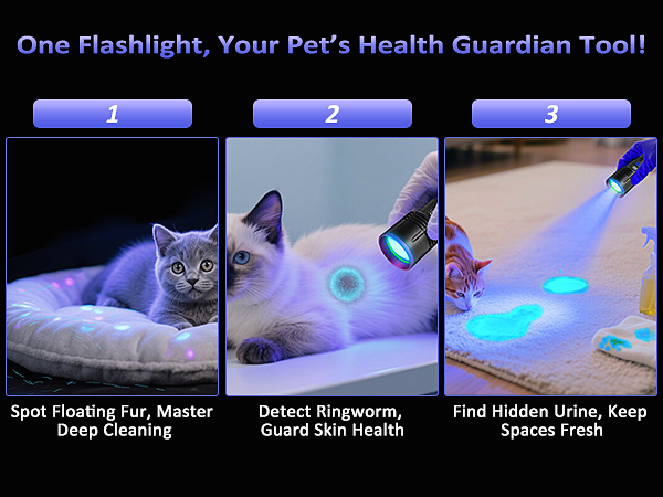 uv flashlight