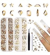 Canvalite 2518Pcs Champagne Rhinestones Nail Gems 12 Styles 3D Glass Crystals Nail Charms Shiny M...