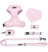 EPETKO Small Dog Harness and Leash Set of 6, No Pull Soft Lightweight Mesh Puppy Harness, Adjusta...