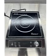 TERUISI Commercial Induction Cooktop