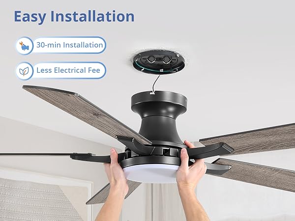 ceiling fan