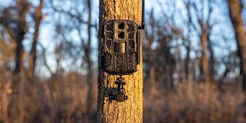 Stealth Cam Specter