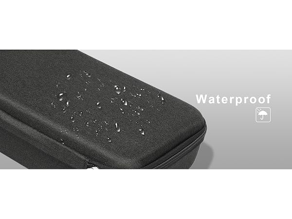 Travel Sunglasses Organizer Case